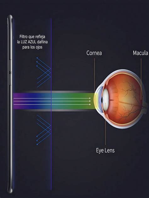 Mica De Hidrogel Privacidad Matte Transparente Antblue Ray Para Modelos