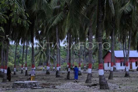 Kampung Merah Putih Di Rote Ndao Antara Foto