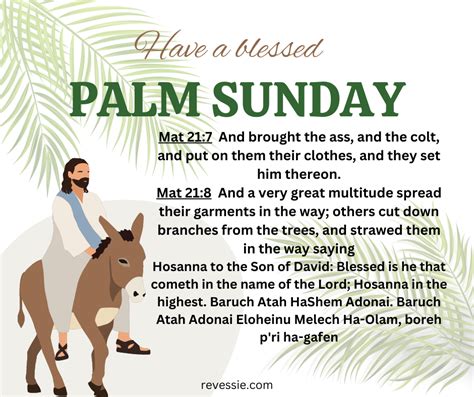 Happy Palm Sunday Hosanna In The Highest Son Of David Christian