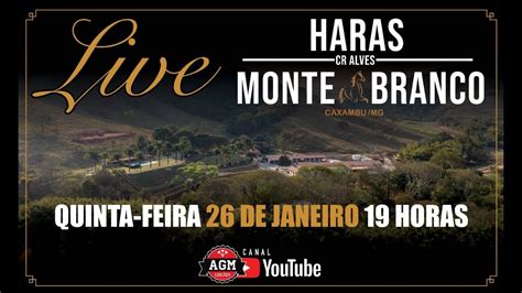 Live Haras Monte Branco Youtube