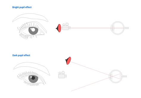 Learn here what are the different eye-tracking techniques and methods to record eye movements ...