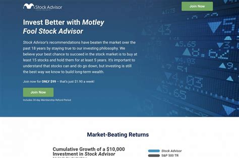 Motley Fool Stock Picks 10 Top Picks Revealed