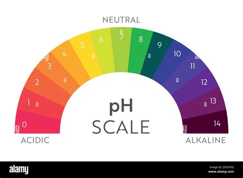 pH Value scale chart. Acid-base balance infographic. Education Poster ...