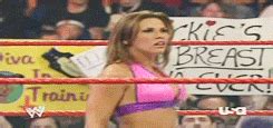 Mickie James Vs Jillian Mickie James Photo 39819949 Fanpop