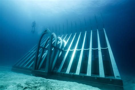 John Brewer Reef Great Barrier Reef Townsville Moua Museum Of