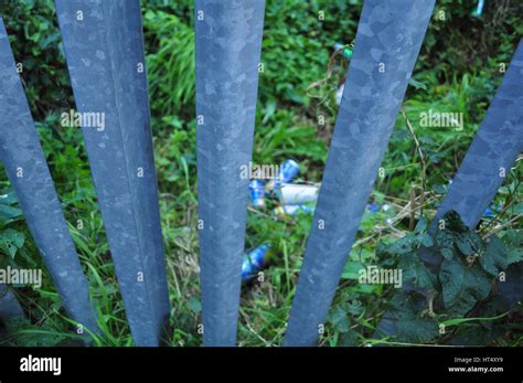 beer cans  grass  bars stock photo alamy