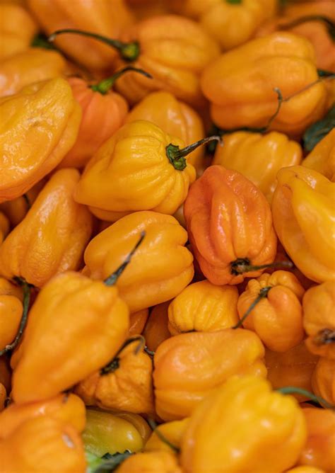 Health Benefits Of Habanero Peppers Health Benefited