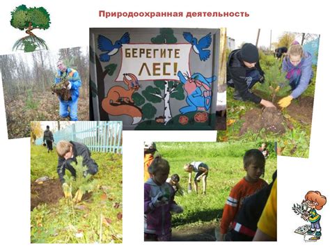 Отчет о работе школьного лесничества «Юный друг природы» - презентация ...