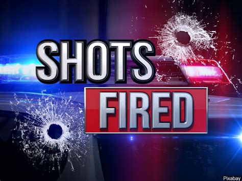 Martin police investigate shots fired - WBBJ TV