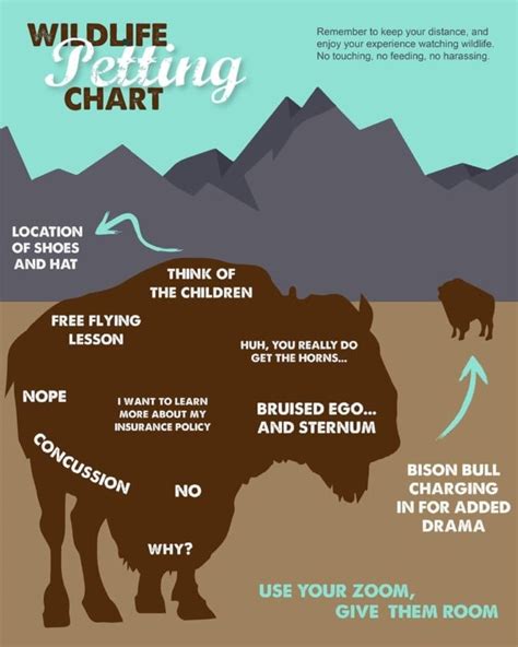 Heres A Wildlife Petting Chart By The National Park Service Petapixel