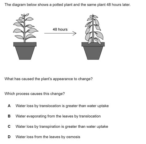 Transport In Plants Cie Igcse Biology Multiple Choice Questions