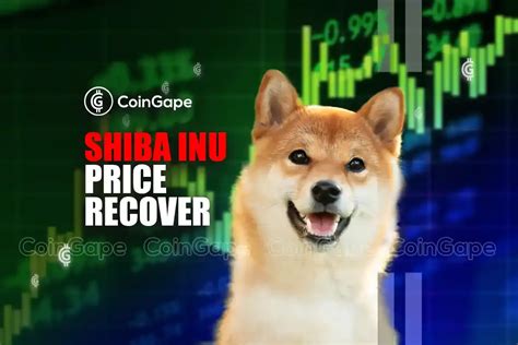 Can Shiba Inu Price Recover Amid Meme Coins Collapse Coingape