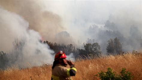 Incendio Forestal En Quillón Está Controlado No Hay Comunas En Alerta