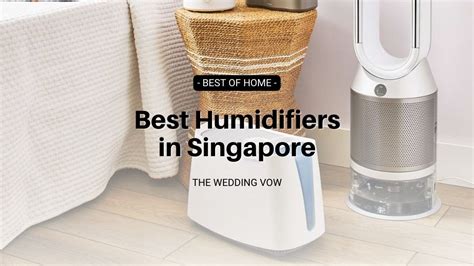 10 Best Humidifiers In Singapore 2023 Buying Guide