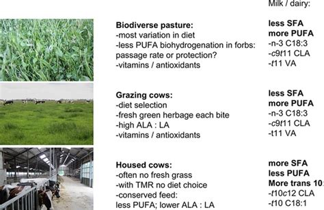 Grazing Increases The Unsaturated Fatty Acid Concentration Of Milk From