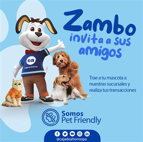 Caja De Ahorros On Twitter Los Amigos De Zambo Son Bienvenidos