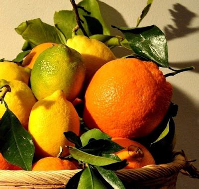 По секрету всему свету...: Хозяйке на заметку: апельсины и лимоны