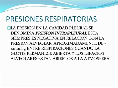 Fisiologia Respiratoria Etapas Mecanicas De La Respiracion Ventilacion