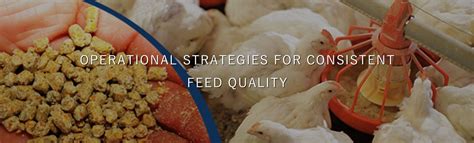 broiler chicken feed mill key feeding standards  optimal feed mill