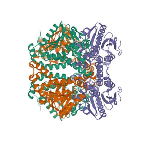 RCSB PDB 2VRE Crystal Structure Of Human Peroxisomal Delta3 5 Delta2