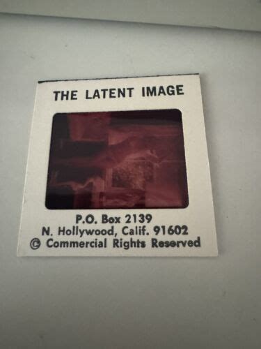 Vintage 1960s Blond Pinup Risqué Nude Fine Art Larry Caye 35mm Transparency 4748242889