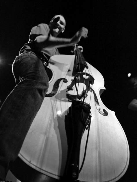 Stand Up Bass Musician Photography Double Bass Rockabilly Fashion