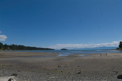 Texada Island Sandcastle Weekend During Lowest Tide Of Year Powell