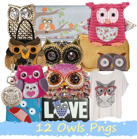 12 Owls Pngs Set1 By Jericam On Deviantart