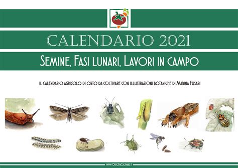 Orto Calendario Semine Il Calendario Agricolo Di Orto Da Coltivare