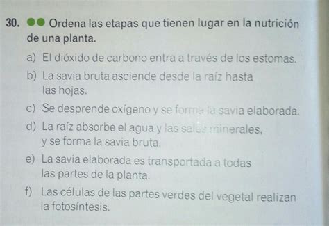 Ordena Las Etapas Que Tienen Lugar En La Nutricion De Una Planta