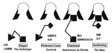 人类图：人体内的能量回路与通道（1） 知乎