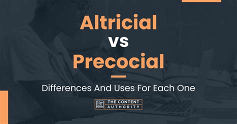 Altricial vs Precocial: Differences And Uses For Each One