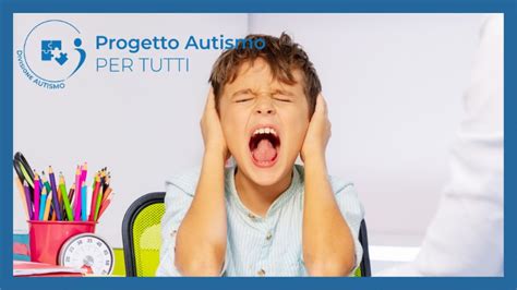 Gestione Dei Comportamenti Problema In Autismo E Disabilit