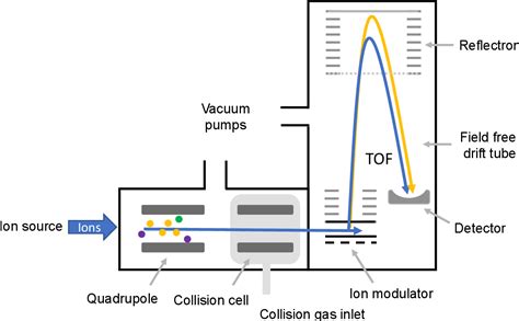 Figure From Comprehensive Overview Of Bottom Up Proteomics Using