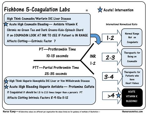 Pt Ptt Inr Lab Values