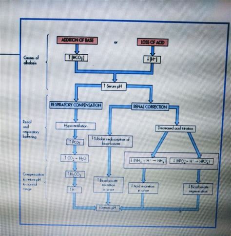 Metabolic Alkalosis With Compensation Metabolic Alkalosis Compensation Renal