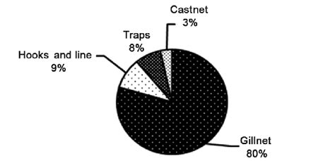 Percentage fish caught by different gears | Download Scientific Diagram 