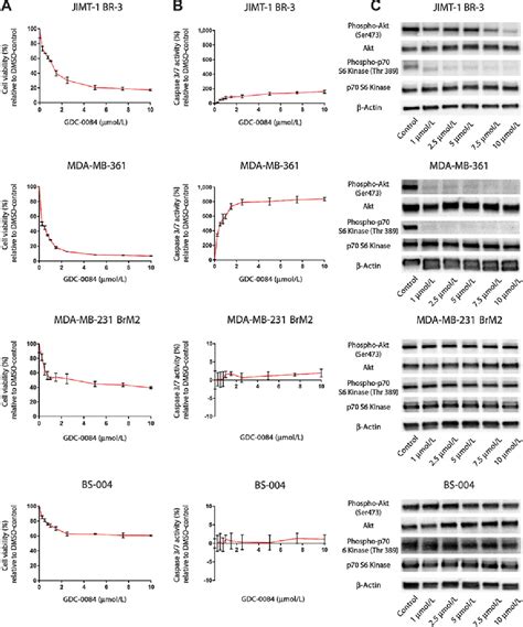 Figure From The Dual Pi K Mtor Pathway Inhibitor Gdc Achieves