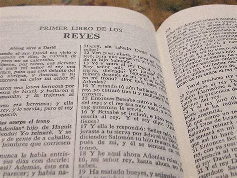 La Biblia Primer Libro De Los Reyes Resumen