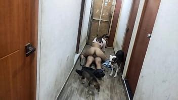 Me Visitan Y Solo Lo Recibo Para Follarmelo Tengo Tantas Ganas Que Lo Tiro Al Piso XVIDEOS