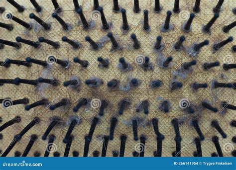 how to get dust out of hairbrush