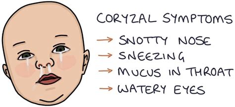 Bronchiolitis Zero To Finals