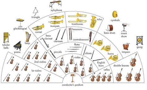 Breaking Down The Orchestra Different Sections And Their Unique Sounds