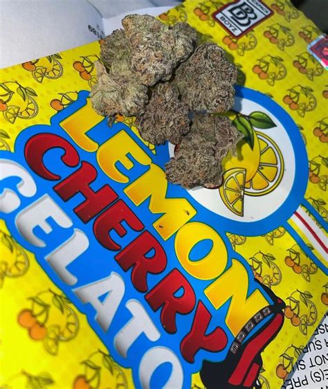 Buy Lemon Cherry Gelato Strain Buy Weed Online Weedhomies