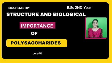 Structure And Biological Importance Of Polysaccharides B Sc 2nd Year