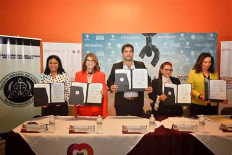 Crean Alianza Gobierno De Bc Con Viva M Xico Para Combatir La