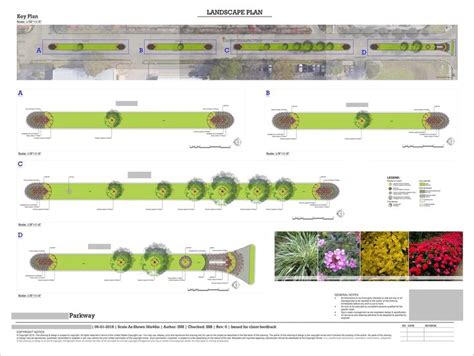 the landscape plan shows different types of plants and flowers in ...