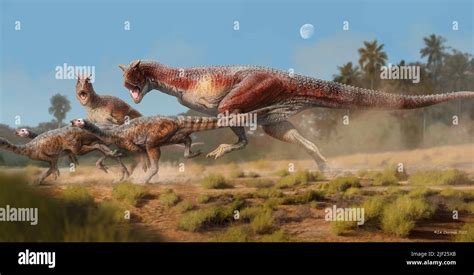 Carnotaurus Sastrei Dinosaurs Hunting Illustration These Carnivorous