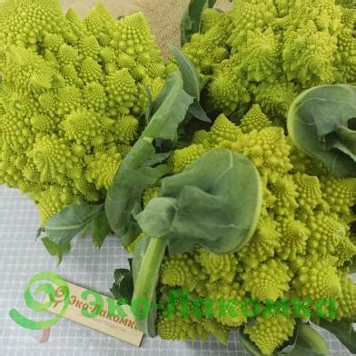 Капуста Романеско от Сергея Зверева купить в Москве с доставкой на дом