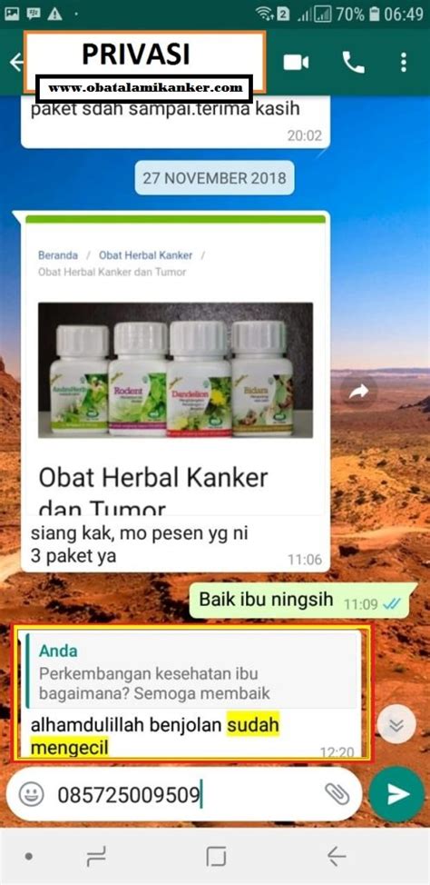 Obat Herbal Kanker Payudara Obat Alami Kanker